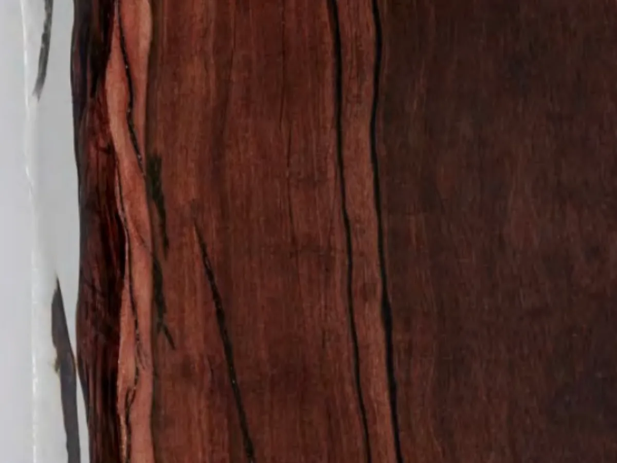 Ebony material sample